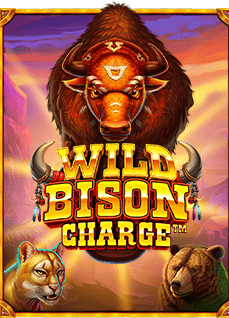 เทคนิคเด็ด วิธี เล่นเกมไฮโล แบบยูทูปเบอร์มือโปร